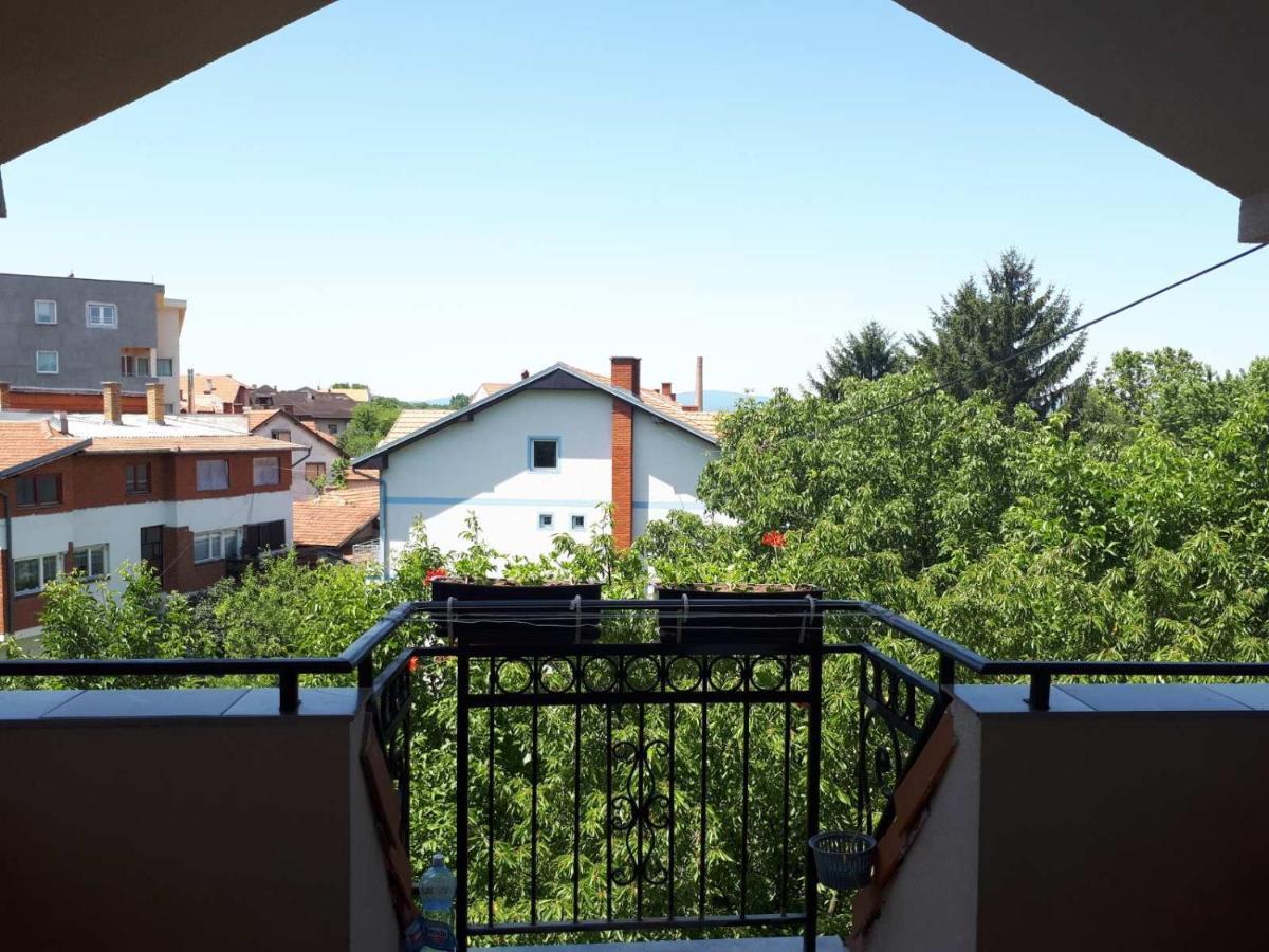 Smestaj Milenkovic Sokobanja Extérieur photo