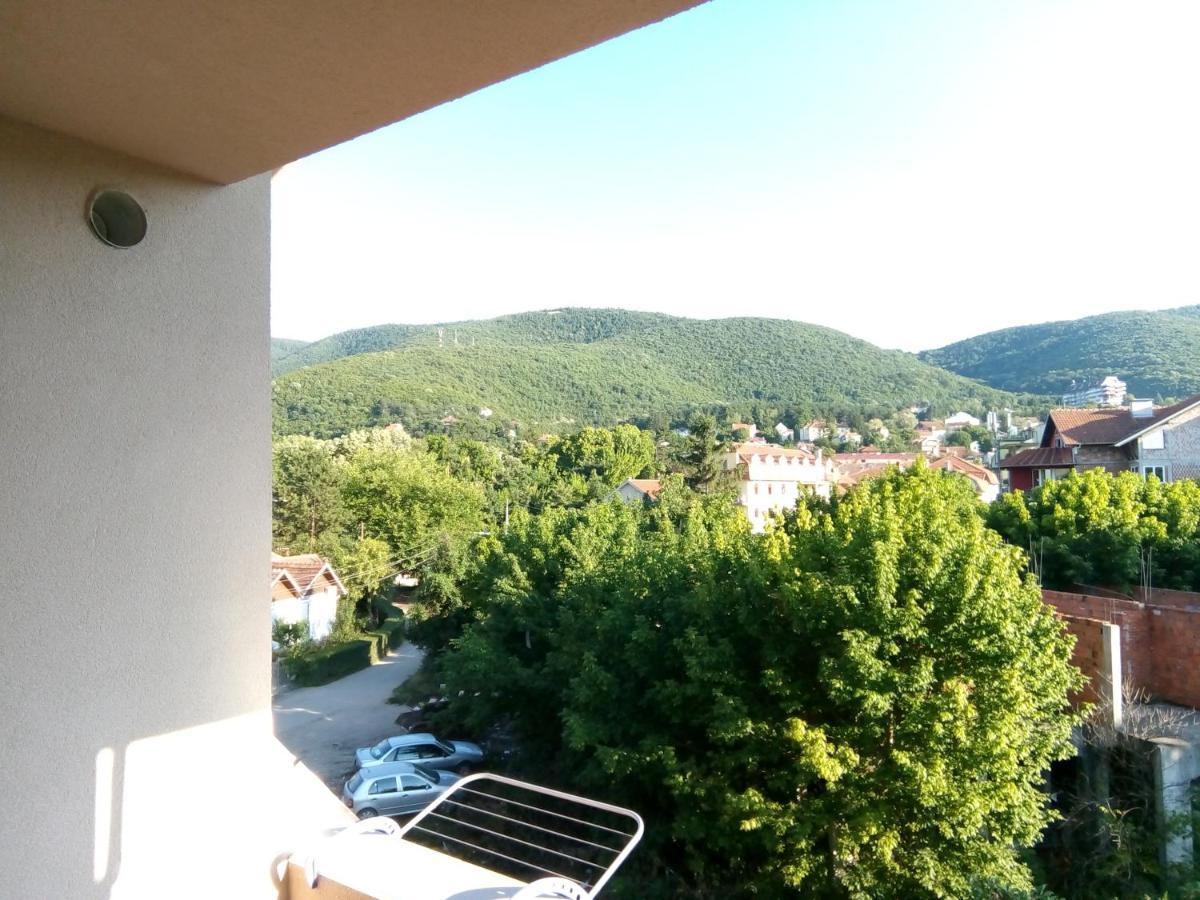 Smestaj Milenkovic Sokobanja Extérieur photo