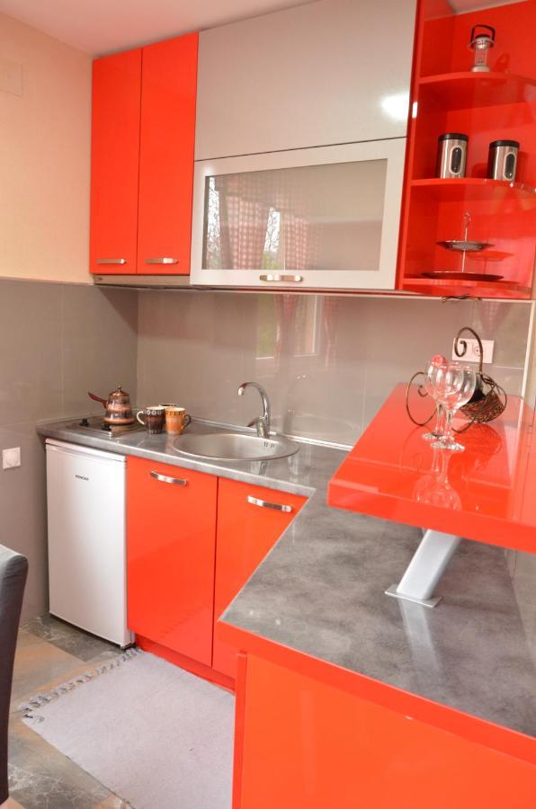 Smestaj Milenkovic Sokobanja Extérieur photo